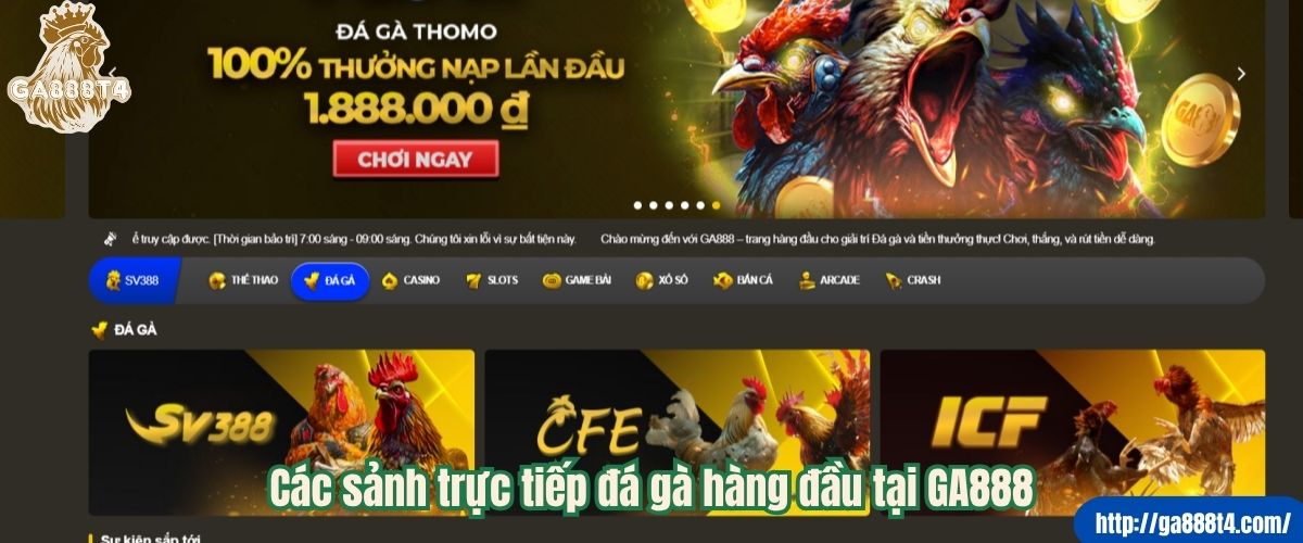 Các sảnh trực tiếp đá gà hàng đầu tại GA888