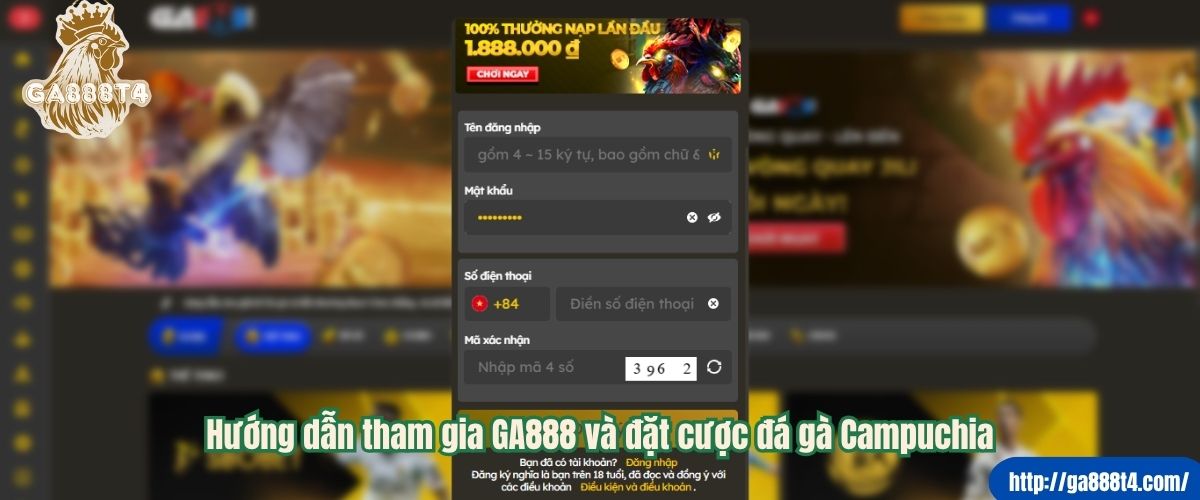 Hướng dẫn tham gia GA888 và đặt cược đá gà Campuchia