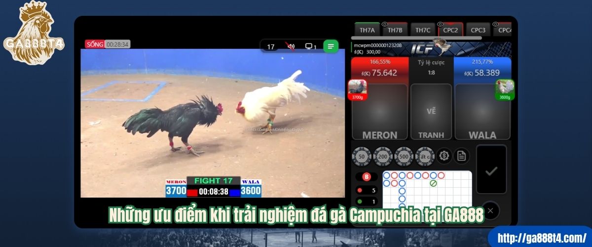 Những ưu điểm khi trải nghiệm đá gà Campuchia tại GA888